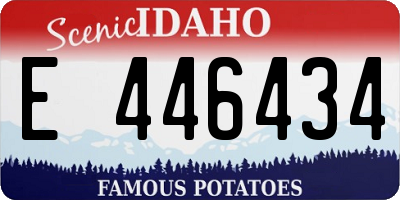 ID license plate E446434