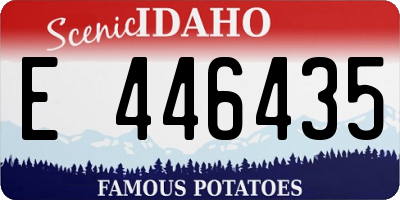 ID license plate E446435