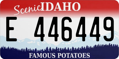 ID license plate E446449