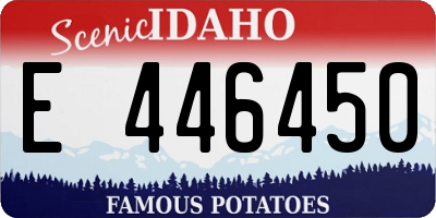 ID license plate E446450