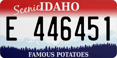ID license plate E446451