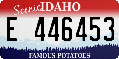 ID license plate E446453