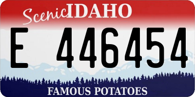 ID license plate E446454