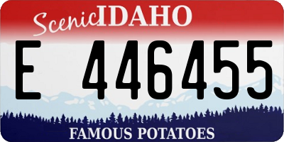 ID license plate E446455