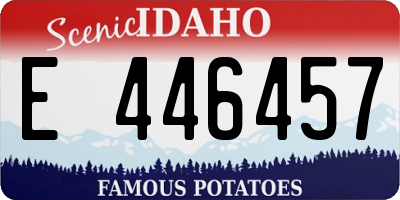ID license plate E446457