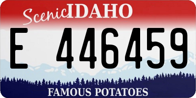 ID license plate E446459