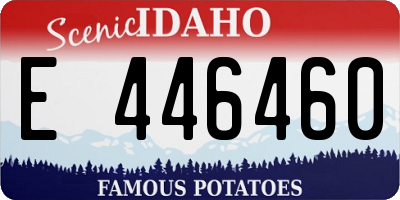ID license plate E446460