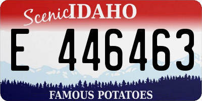 ID license plate E446463
