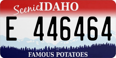ID license plate E446464