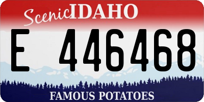ID license plate E446468