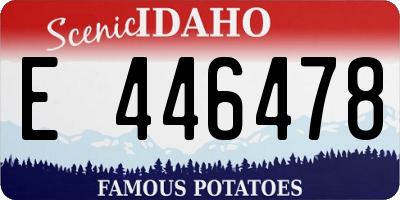 ID license plate E446478