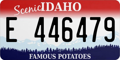 ID license plate E446479