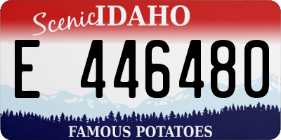 ID license plate E446480