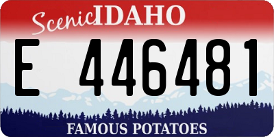 ID license plate E446481
