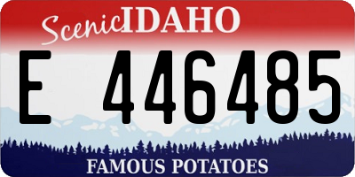 ID license plate E446485