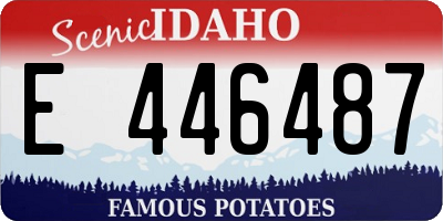 ID license plate E446487