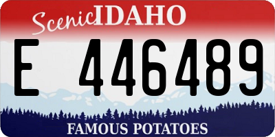 ID license plate E446489