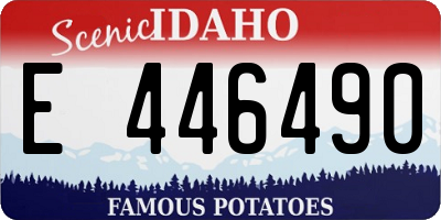 ID license plate E446490