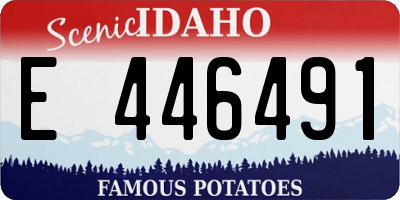 ID license plate E446491