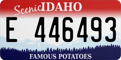 ID license plate E446493