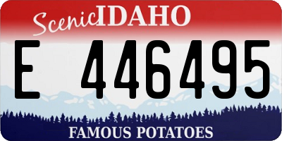 ID license plate E446495