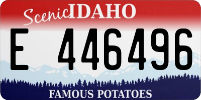ID license plate E446496
