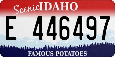 ID license plate E446497