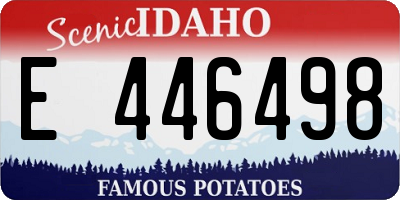 ID license plate E446498