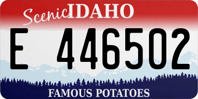 ID license plate E446502