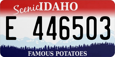 ID license plate E446503