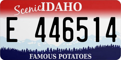 ID license plate E446514