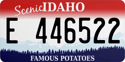 ID license plate E446522