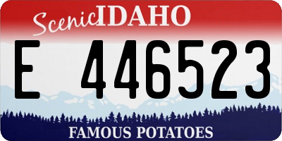 ID license plate E446523