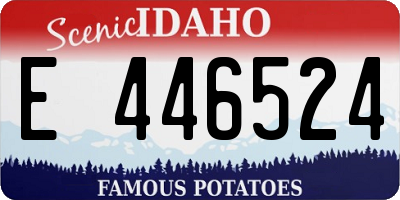 ID license plate E446524