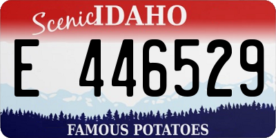 ID license plate E446529
