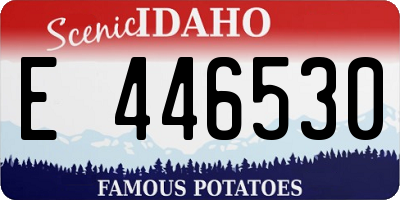 ID license plate E446530
