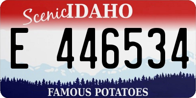 ID license plate E446534