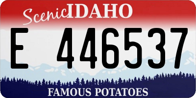 ID license plate E446537