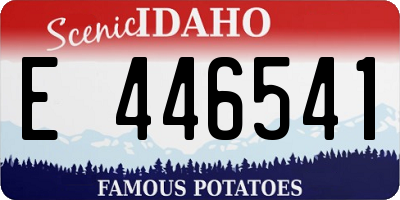ID license plate E446541