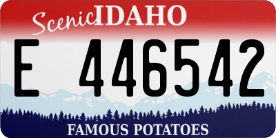 ID license plate E446542