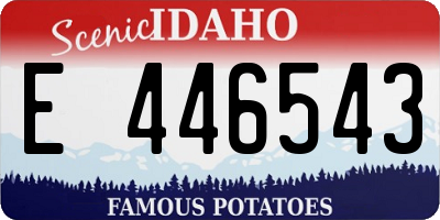 ID license plate E446543