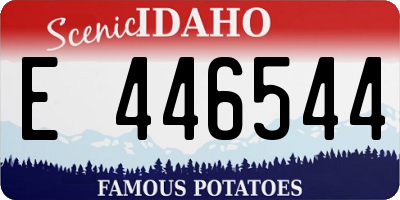ID license plate E446544