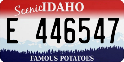 ID license plate E446547