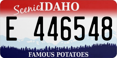 ID license plate E446548