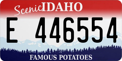ID license plate E446554