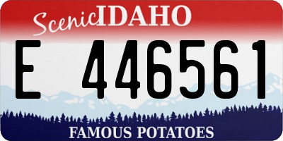 ID license plate E446561