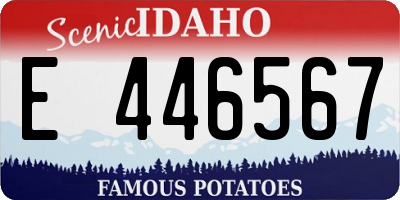 ID license plate E446567