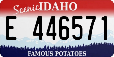 ID license plate E446571