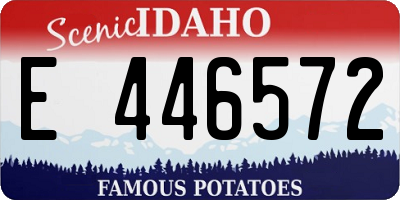 ID license plate E446572