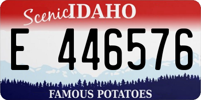 ID license plate E446576
